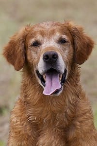 Beneagle poserar gärna! - 100731